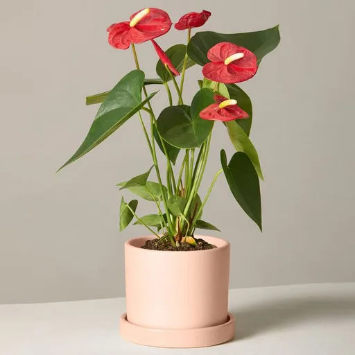 محمد جعفری | واحد طراحی مهندسی فتح